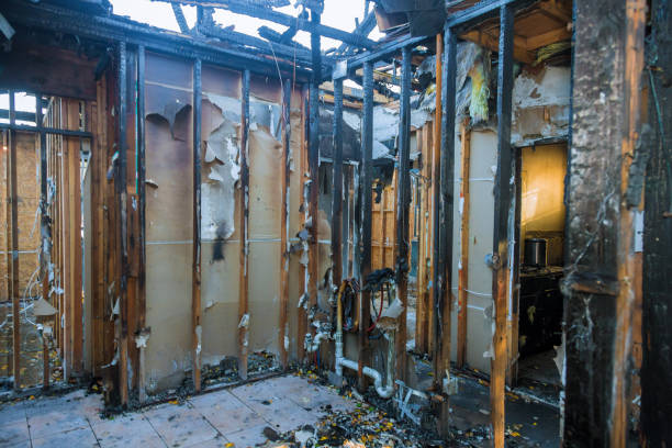 Professional Fire Damage Repair technician working in Genoa, AR